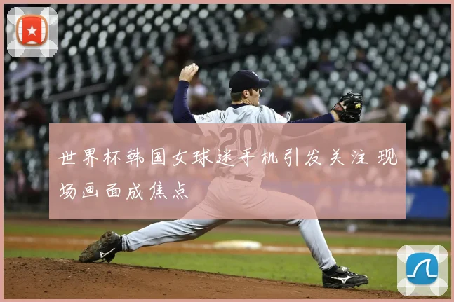 世界杯韩国女球迷手机引发关注 现场画面成焦点