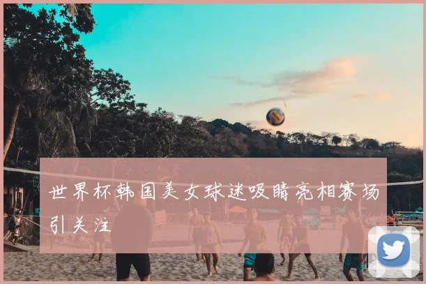 世界杯韩国美女球迷吸睛亮相赛场引关注