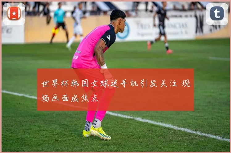 世界杯韩国女球迷手机引发关注 现场画面成焦点